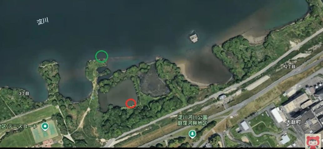 八雲ワンド北にある本流です。