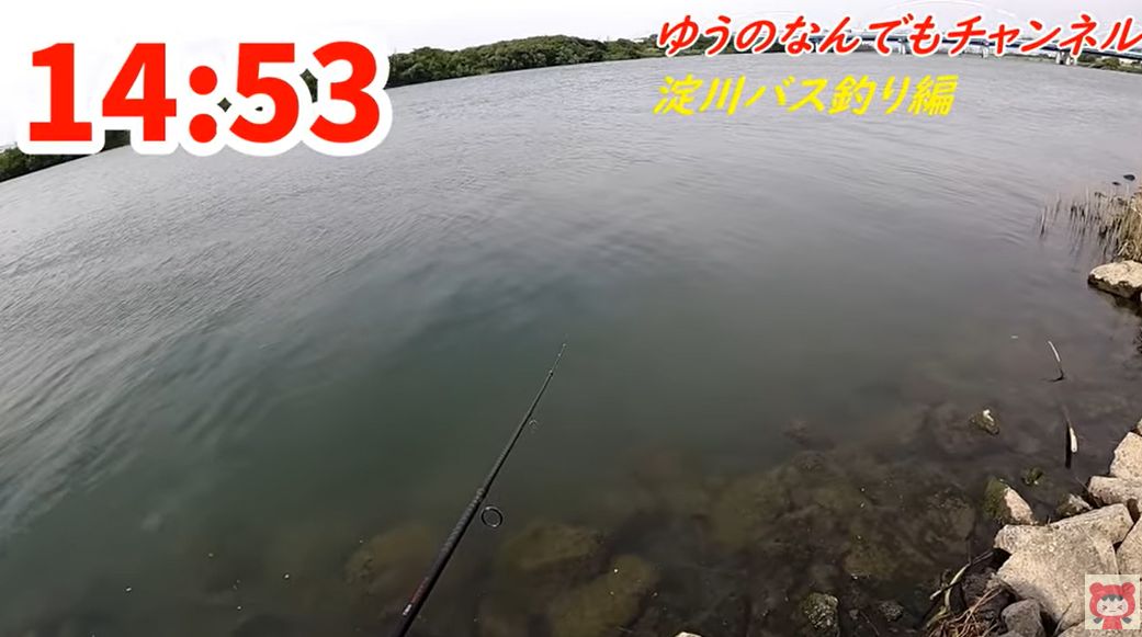 淀川八雲ワンド北にある本流の現地画像です。