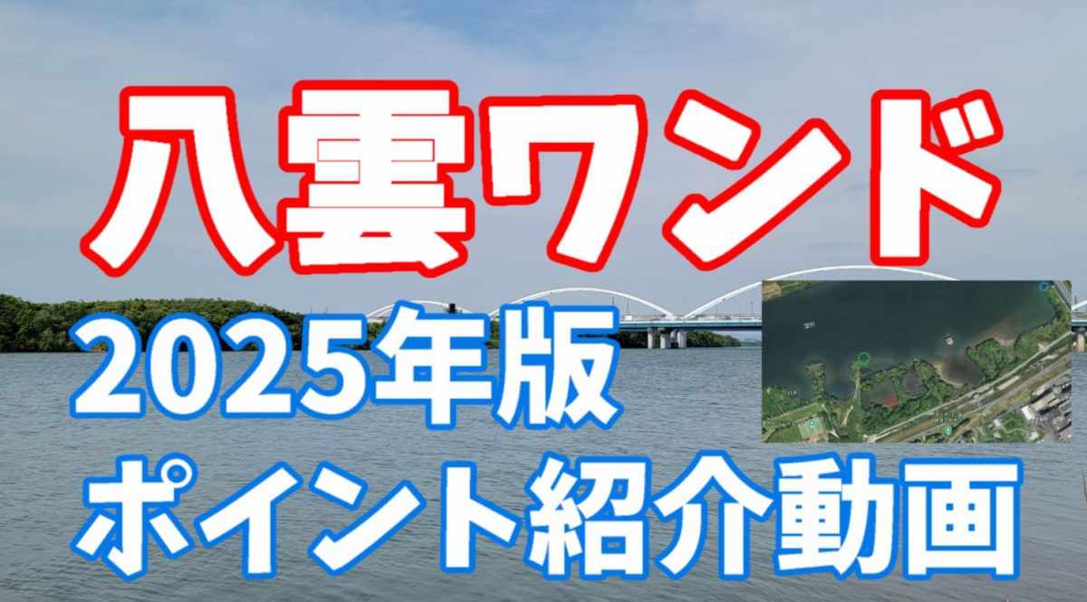 八雲ワンド。2025年版ポイント紹介